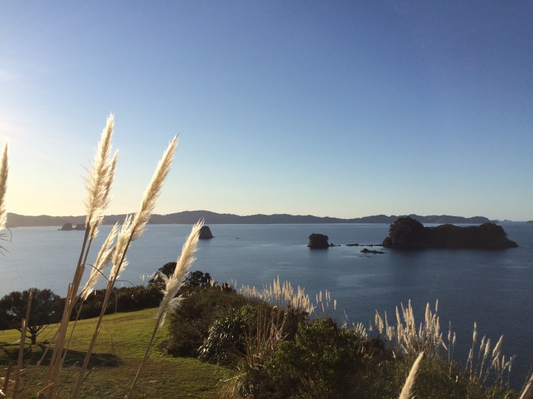 Here is the start of the walk to the Cathedral Cove